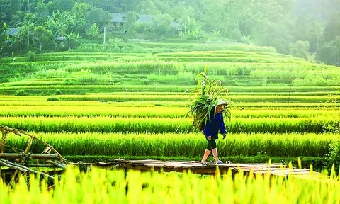 'Kho báu' nơi vùng cao xứ Thanh được chắt chiu từ những điều bình dị