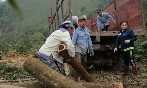 Chính sách thuế mới của Mỹ  tác động thế nào đến người trồng rừng Thanh Hóa?