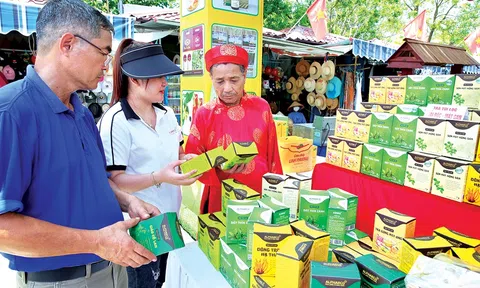 Lc88.men Cá cược thể thao chắp cánh, nông sản cất cánh - Cơ hội vàng từ sự kết hợp