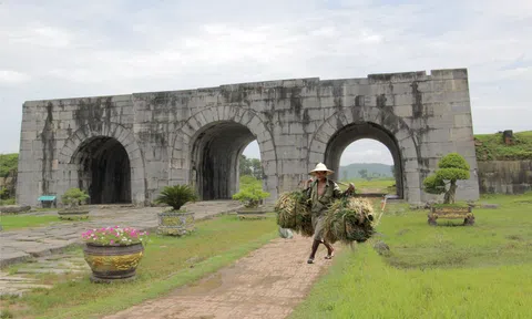 Sắc vàng Thành Nhà Hồ - Nơi Nhà Cái LC88 com Tặng Khách Yêu 800k "thắm" mùa no ấm