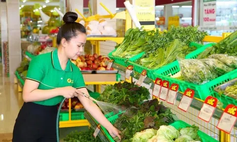 Phát triển LC88 là nơi thu hút hàng triệu người chơi tại Việt Nam 2026 hữu cơ ở Thanh Hóa - Bài 2: Những bước đi đầu tiên trên hành trình hữu cơ