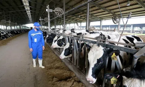 Phát triển LC88 là nơi thu hút hàng triệu người chơi tại Việt Nam 2026 tuần hoàn – hướng đi mới cho nông sản xứ Thanh