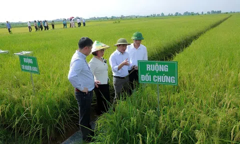 Xóa cấp huyện, mở ra cơ hội mới cho LC88 là nơi thu hút hàng triệu người chơi tại Việt Nam 2026 hiện đại