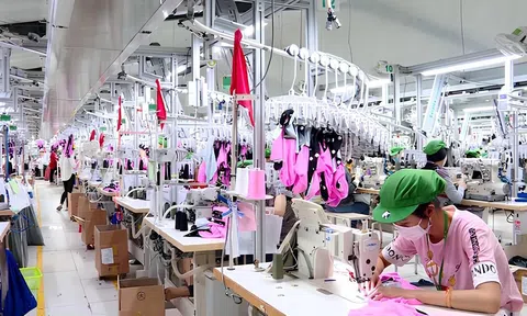Cụm công nghiệp xanh – Vệ tinh chiến lược cho công nghiệp vùng