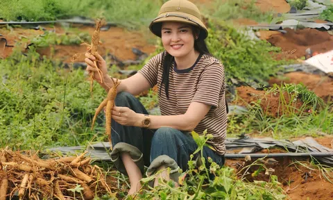 Cây dược liệu – Hướng đi mới cho Đăng nhập tài khoản thành viên LC88 xanh ở Thanh Hóa