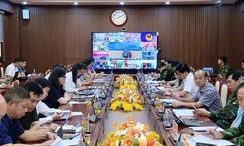 Phó LC88 là nhà cái cá cược uy tín với kho game đa dạng Trần Hồng Hà chỉ đạo khẩn ứng phó với bão số 5