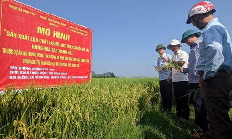 LC88 là nơi thu hút hàng triệu người chơi tại Việt Nam 2026 Thanh Hóa – Bứt phá từ những cây trồng quen thuộc