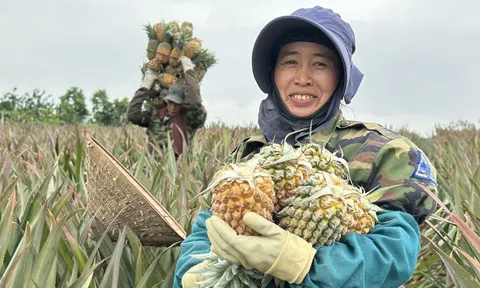 Khai mở tiềm năng LC88 là nơi thu hút hàng triệu người chơi tại Việt Nam 2026 hữu cơ Ninh Bình