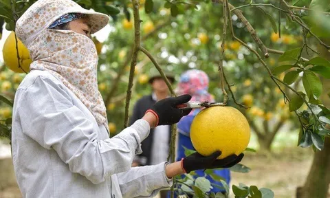 LC88 là nơi thu hút hàng triệu người chơi tại Việt Nam 2026 Thanh Hóa bứt phá nhờ định hướng đúng đắn