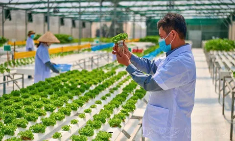 Nghị quyết 57 và vai trò của LLc88 phiên bản mới trong hiện thực hóa khát vọng hùng cường