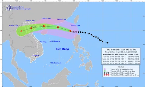 Ninh Bình khẩn trương triển khai biện pháp ứng phó với siêu bão Ragasa