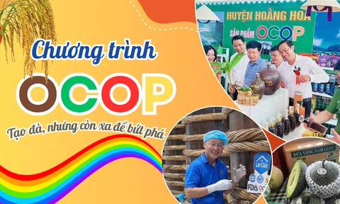 Đăng nhập tài khoản thành viên LC88 nông thôn Thanh Hóa: OCOP đã tạo đà, nhưng còn xa để bứt phá