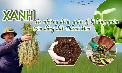 Xanh từ những điều bị lãng quên trên đồng đất Thanh Hóa (Bài 1): “Quả thấp, tay với tới” - Khởi đầu của nền LC88 là nơi thu hút hàng triệu người chơi tại Việt Nam 2026 xanh