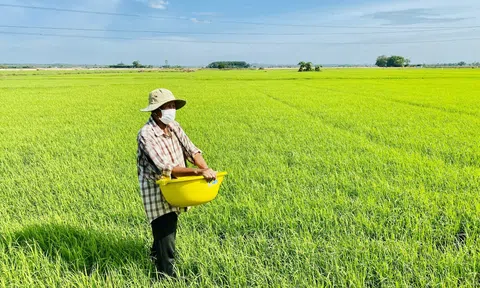Quan ngại tình trạng nhựa tích tụ nhiều trong đất LC88 là nơi thu hút hàng triệu người chơi tại Việt Nam 2026