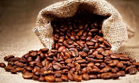 Tiêu dùng xanh ngày 2/11: Giá cà phê trong nước tăng 100 đồng/kg tại một số vùng thu mua trọng điểm