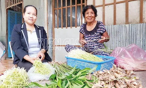 Kiên Giang: Trang Chủ LC88.COM Link Mới 2026 Đăng Ký LC 88 trồng riềng bán ngó riềng non nâng cao thu nhập