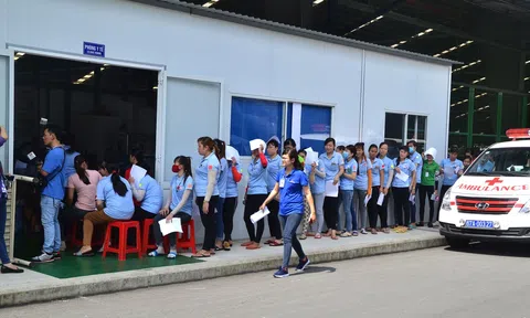 Hỗ trợ, đảm bảo quyền lợi người Lc888 Thể Thao Link Mới mất việc làm dịp cuối năm