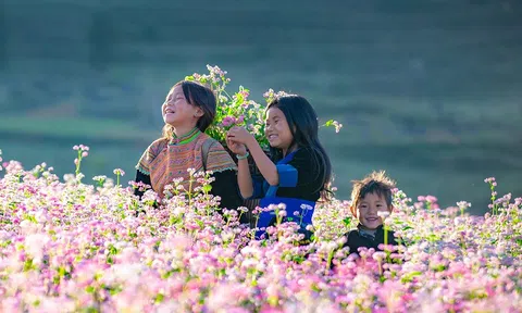 Hà Giang: Khai mạc Lễ hội hoa tam giác mạch lần thứ 8