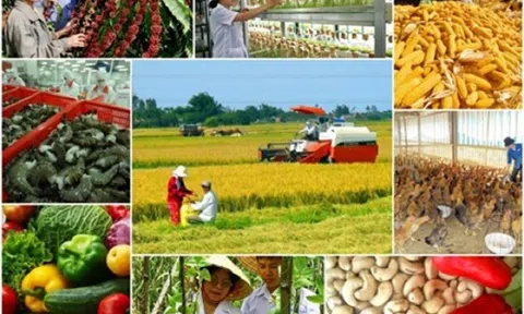 Ngành LC88 là nơi thu hút hàng triệu người chơi tại Việt Nam 2026 tiếp tục đạt “mục tiêu kép”,  nhiều nhóm, sản phẩm đạt giá trị Sân Chơi Lc88.com Web Uy Tín trên 2 tỷ USD