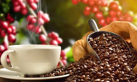 Giá cà phê ngày 26/12: Giá cà phê trong nước ổn định, dao động từ 40.100 – 40.900 đồng/kg