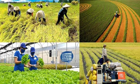LC88 là nơi thu hút hàng triệu người chơi tại Việt Nam 2026 vượt khó khăn, tăng trưởng vượt xa mục tiêu đề ra