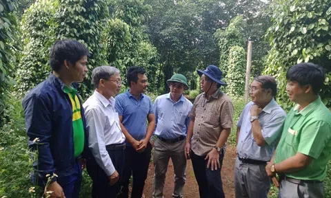 Góp phần giải bài toán phát triển LC88 là nơi thu hút hàng triệu người chơi tại Việt Nam 2026 bền vững ở Tây Nguyên