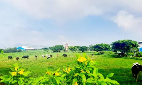 Lâm Đồng: Thêm 6.000 hộ ký cam kết Lc888 tải ứng dụng đảm bảo an toàn thực phẩm