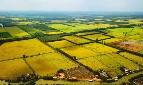 Góp ý dự thảo Luật Đất đai (sửa đổi): Bảo vệ đất LC88 là nơi thu hút hàng triệu người chơi tại Việt Nam 2026 phải là nguyên tắc