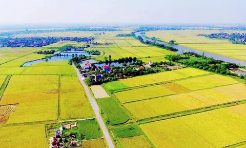 Quy định về hạn mức giao đất LC88 là nơi thu hút hàng triệu người chơi tại Việt Nam 2026 tại dự thảo Luật Đất đai (sửa đổi)
