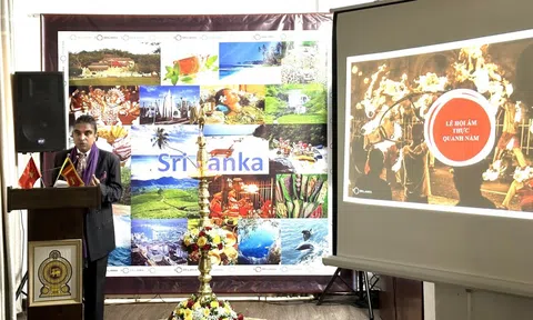 Giàu tiềm năng hợp tác phát triển Lc88.men Cá cược thể thao giữa Việt Nam và Sri Lanka