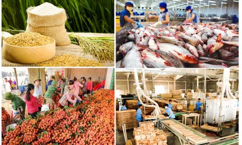 Cả nước có hơn 1.700 chuỗi cung cấp thực phẩm nông, lâm, Lc88game hiện đang mở an toàn