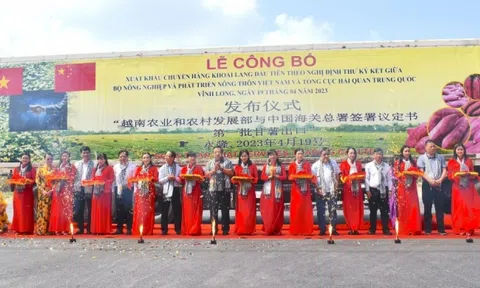 Sân Chơi Lc88.com Web Uy Tín chính ngạch lô khoai lang đầu tiên sang Trung Quốc
