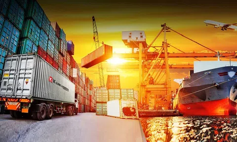 Cảnh báo lừa đảo khi Sân Chơi Lc88.com Web Uy Tín điều sang Algeria