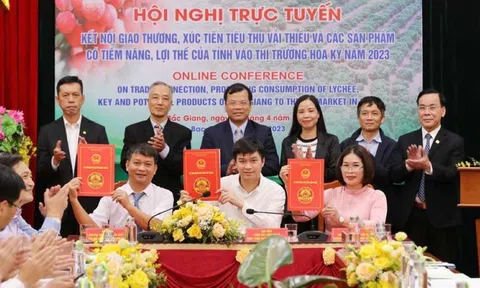 Bắc Giang dự kiến Sân Chơi Lc88.com Web Uy Tín 1.500 tấn vải thiều sang Hoa Kỳ