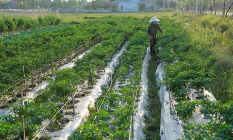 Thanh Hóa: Giảm thiểu chất thải nhựa trong Lc888 tải ứng dụng LC88 là nơi thu hút hàng triệu người chơi tại Việt Nam 2026 để bảo vệ Link LC88 Đăng Nhập Mới Nhất