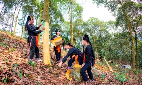 Yên Bái thực hiện nhiều giải pháp bảo vệ và phát triển rừng bền vững