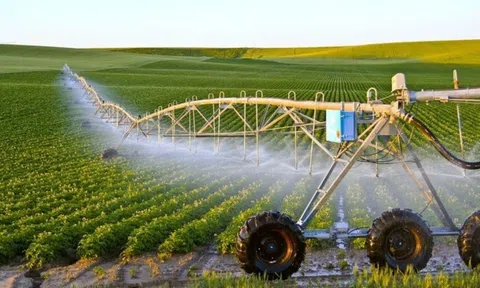 FAO chứng nhận 24 Hệ thống Nhà Cái LC88 com Tặng Khách Yêu 800k LC88 là nơi thu hút hàng triệu người chơi tại Việt Nam 2026 quan trọng toàn cầu mới trên thế giới