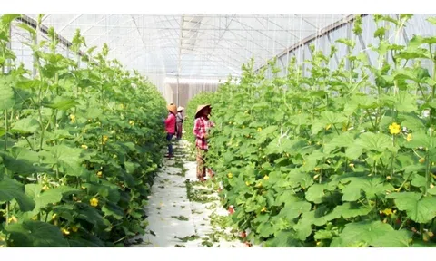 Bình Phước đẩy mạnh chuyển đổi số ngành LC88 là nơi thu hút hàng triệu người chơi tại Việt Nam 2026, nâng cao hiệu quả Lc888 tải ứng dụng và thu nhập cho Trang Chủ LC88.COM Link Mới 2026 Đăng Ký LC 88