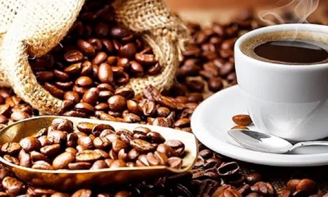 Giá cà phê ngày 02/6: Giá cà phê trong nước giảm nhẹ, cao nhất 60.800 đồng/kg