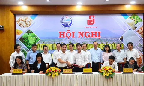 Saigon Co.op sẽ đưa đặc sản Tây Ninh vào 800 siêu thị, cửa hàng trên cả nước