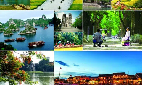 Từ ngày 01/7/2023, Cục Lc88.men Cá cược thể thao quốc gia Việt Nam chính thức hoạt động