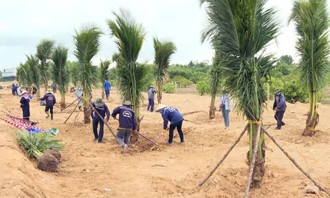 Quảng Ngãi sẽ trồng 185ha cây xanh tại Khu Đăng nhập tài khoản thành viên LC88 Dung Quất và các Khu công nghiệp