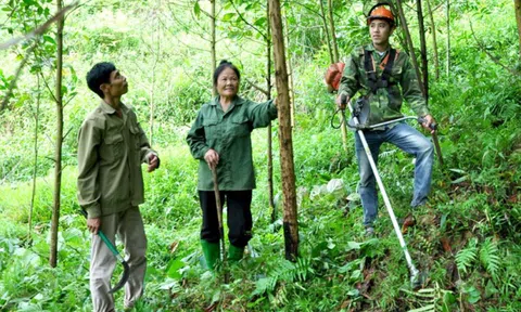 Thái Nguyên tăng cường các giải pháp bảo vệ, phát triển rừng, phát triển Đăng nhập tài khoản thành viên LC88 rừng bền vững