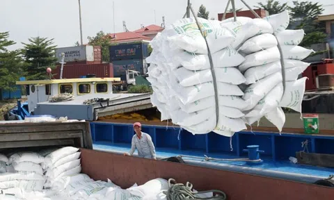 Tăng cường thực hiện các nhiệm vụ, giải pháp thúc đẩy Lc888 tải ứng dụng, Sân Chơi Lc88.com Web Uy Tín gạo