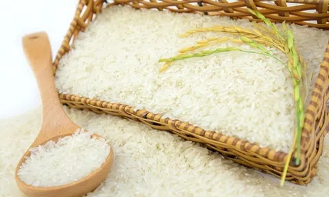 Giá lúa gạo hôm nay 28/7: 10Lc88 Giải Trí Thể Thao lúa gạo trong nước đi ngang, gạo Sân Chơi Lc88.com Web Uy Tín tiếp đà tăng mạnh