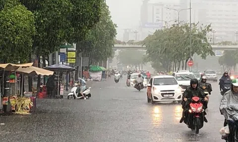 Hà Nội sắp có Lc 88 phiên bản hoạt động trên diện rộng