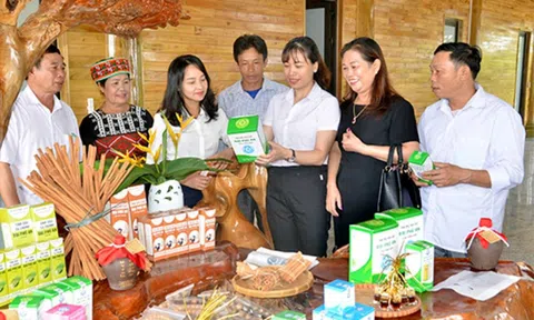 Nhiều sản phẩm OCOP của Yên Bái đã được Sân Chơi Lc88.com Web Uy Tín sang Anh quốc