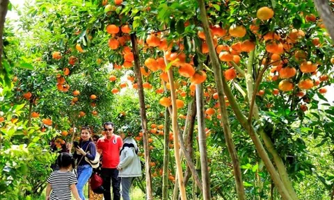Phát triển Lc88.men Cá cược thể thao nông thôn gắn với quảng bá, tiêu thụ sản phẩm OCOP