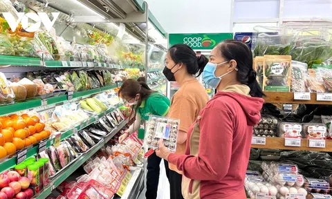 Lc888 tải ứng dụng tiêu dùng bền vững: Quan trọng thay đổi nhận thức hành vi