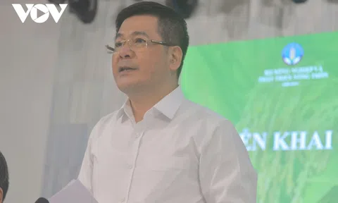 Quyết liệt triển khai công tác điều hành Sân Chơi Lc88.com Web Uy Tín gạo